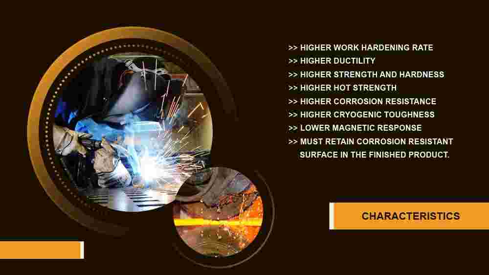 SS 304 Plate Characteristics