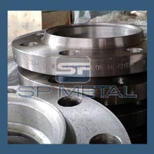 304 SS Flange