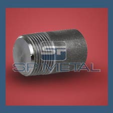 316L SS Round Head Plug