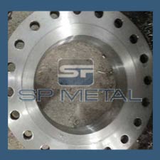 ASTM A182 F304 Flanges