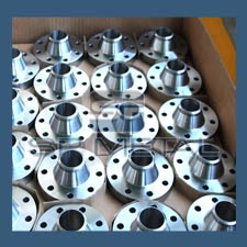 Stainless Steel 304L Weld Neck Flange