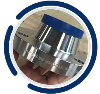 ASTM A182 SS WNRF Flange ASTM A182 SS WNRF Flange