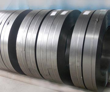 Stainless Steel 310 Strips
