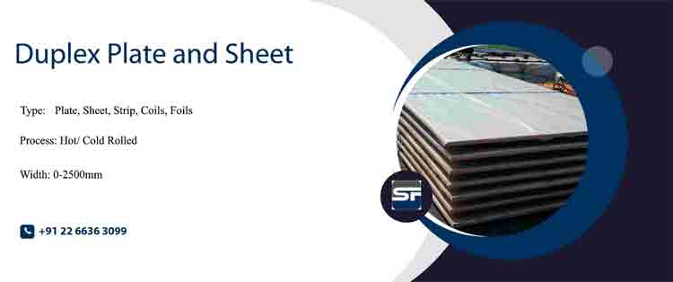 Duplex Plate Duplex plate