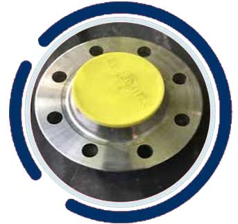 SA Gr 316 WNRF Flanges SA Gr 316 WNRF Flanges