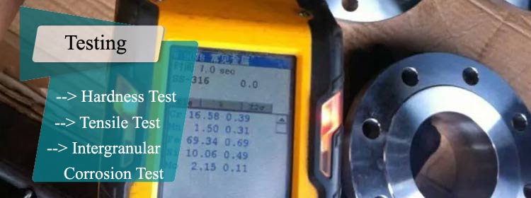 SDSS Flange Testing
