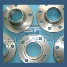 SS 304L Flange