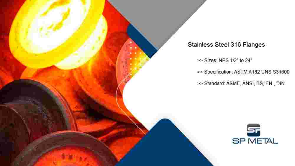 Stainless Steel 316 Flanges