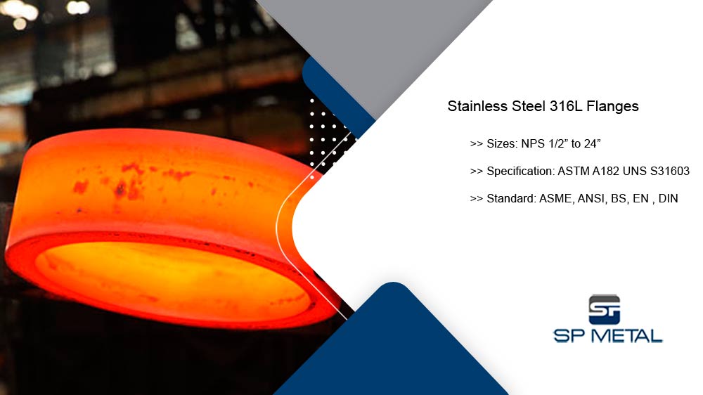 Stainless Steel 316L Flanges Stainless Steel 316L Flanges